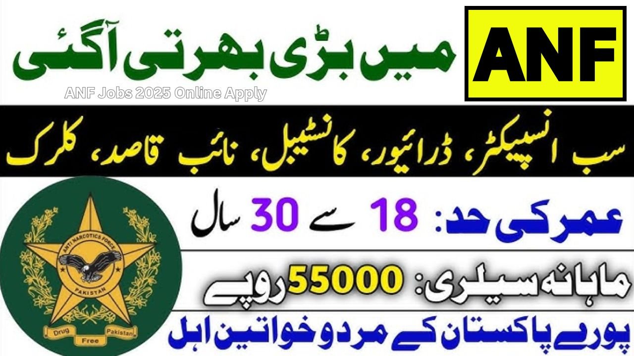 ANF Jobs 2025 Online Apply